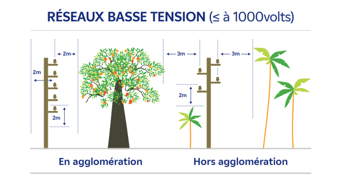 Réseau basse tension EDF élagage