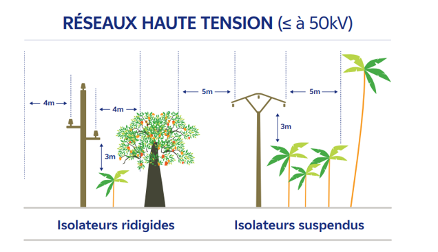 Réseau haute tension EDF élagage